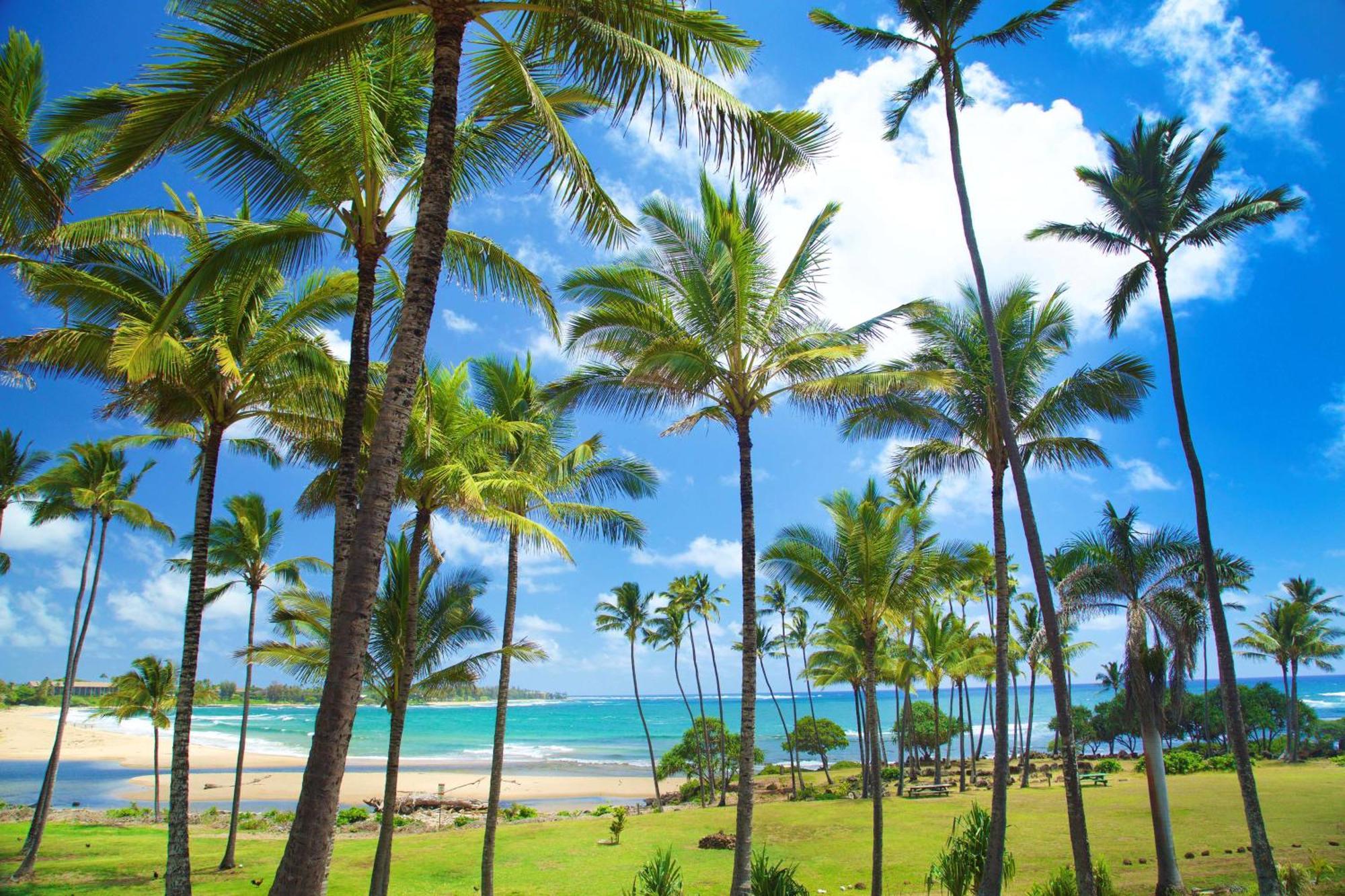 Hilton Garden Inn Kauai Wailua Bay, Hi Капаа Экстерьер фото